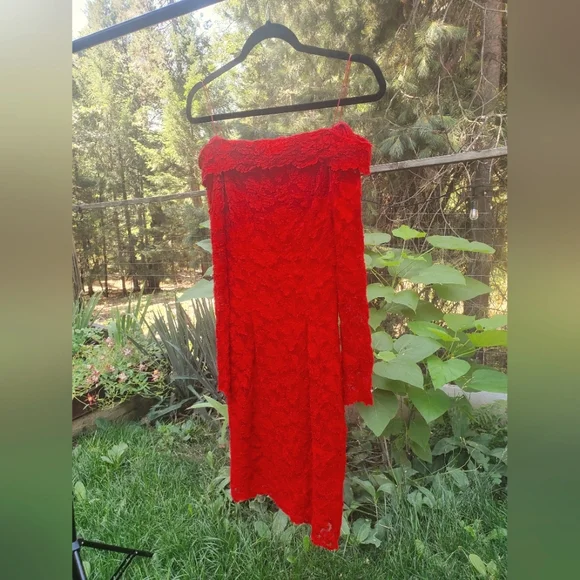Holly Malloy Dresses | Holly Malloy Vintage Red Lace Off The Shoulder Dress Size 10 | Color: Red | Size: 10 | Fatlepur's Closet